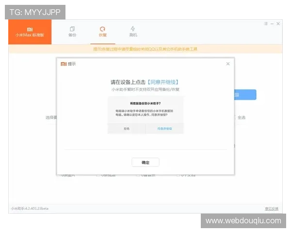 如何下载斗球电脑版,详细操作流程与注意事项介绍