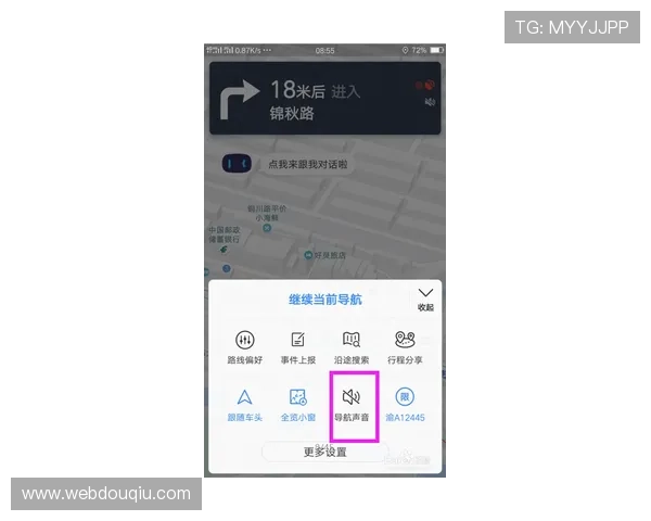 斗球网站下载后常见问题处理方法，确保软件正常运行